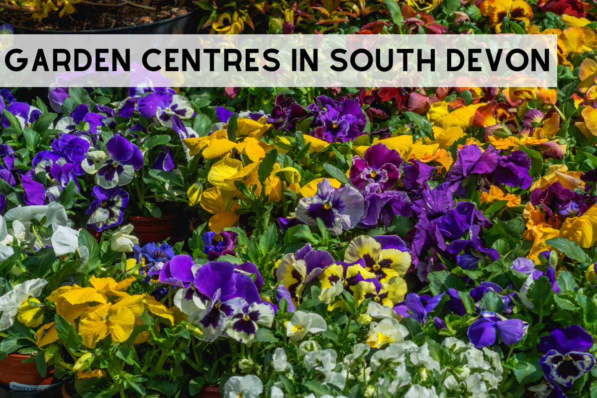 Garden centres in South Devon
